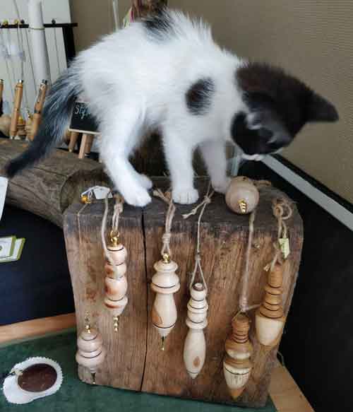 Chaton en pleine découverte de pendule fait en tournage bois