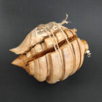 Création pendule en bois d'Abricotier