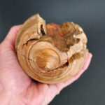 Création pendule en bois d'Abricotier