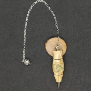 Buis Radiesthésie moderne