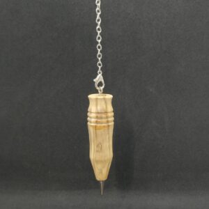 radiesthésie moderne buis